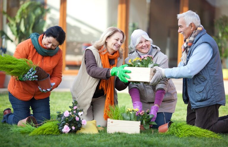 8 Things to Do for Seniors in Naperville, IL